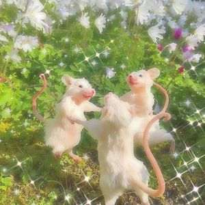 Meet your Posher, Ranya